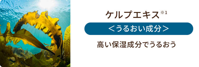 ケルプエキス＜うるおい成分＞高い保湿成分でうるおう