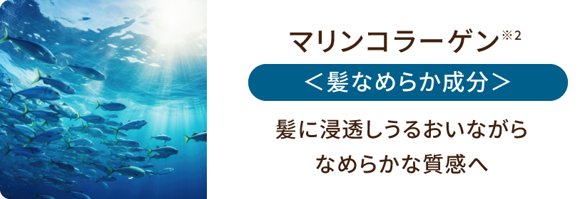 マリンコラーゲン＜髪なめらか成分＞髪に浸透しうるおいながらなめらかな質感へ