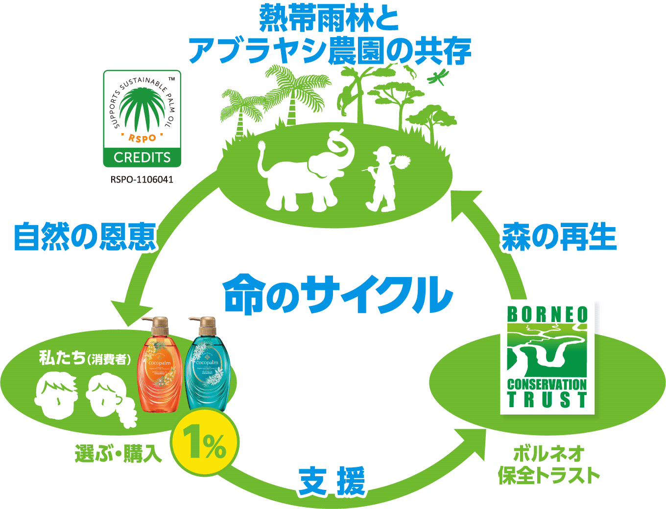 命のサイクル