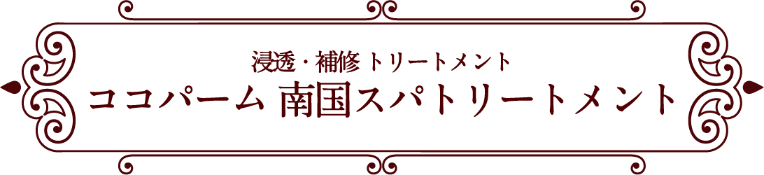 浸透・補修トリートメント ココパーム 南国スパトリートメント