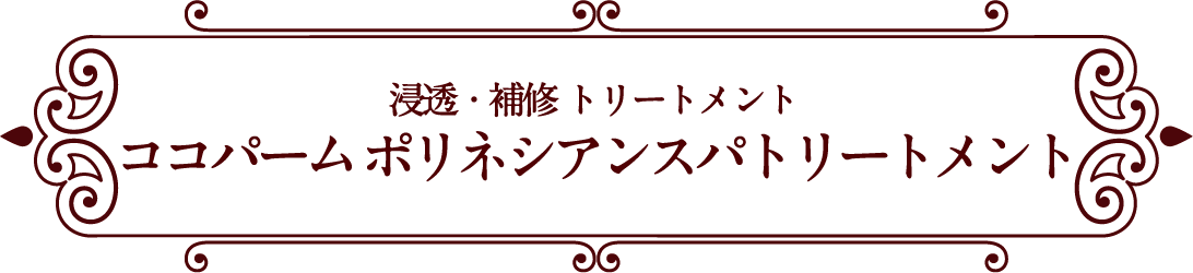 浸透・補修トリートメント ココパーム ポリネシアンスパトリートメント